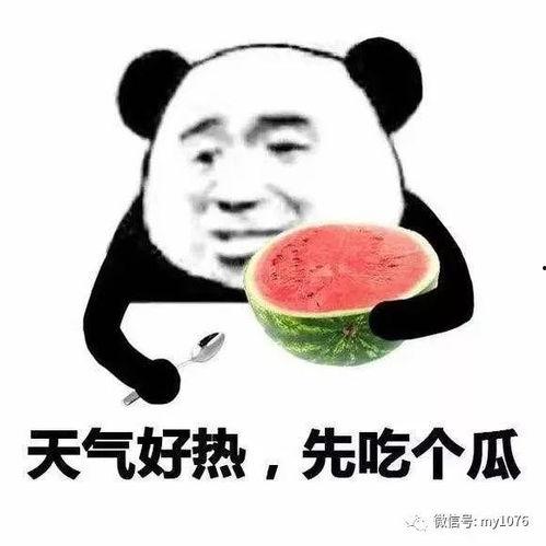 718娱乐吃瓜官网入口看天气,天气变化背后的娱乐风云”
